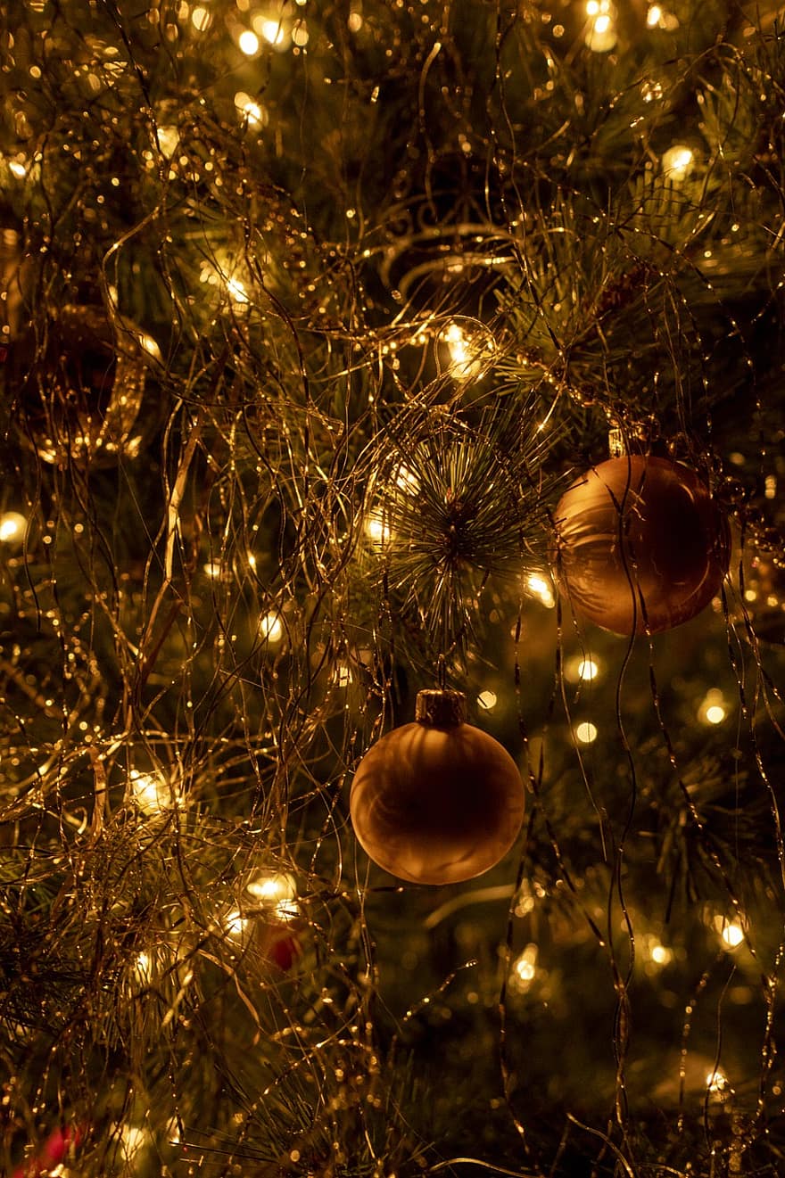 julgran, Semester, säsong, jul, dekoration, firande, bakgrunder, skinande, upplyst, lysande, närbild