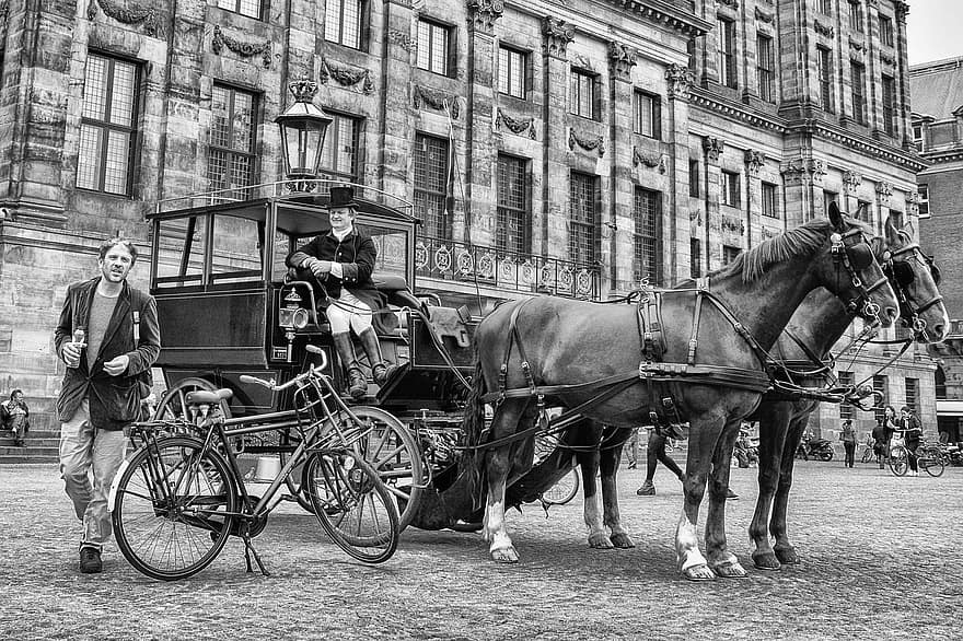 paard, vervoer, bestuurder, Amsterdam, Europa, oud, wijnoogst, Bekende plek, culturen, zwart en wit, reizen