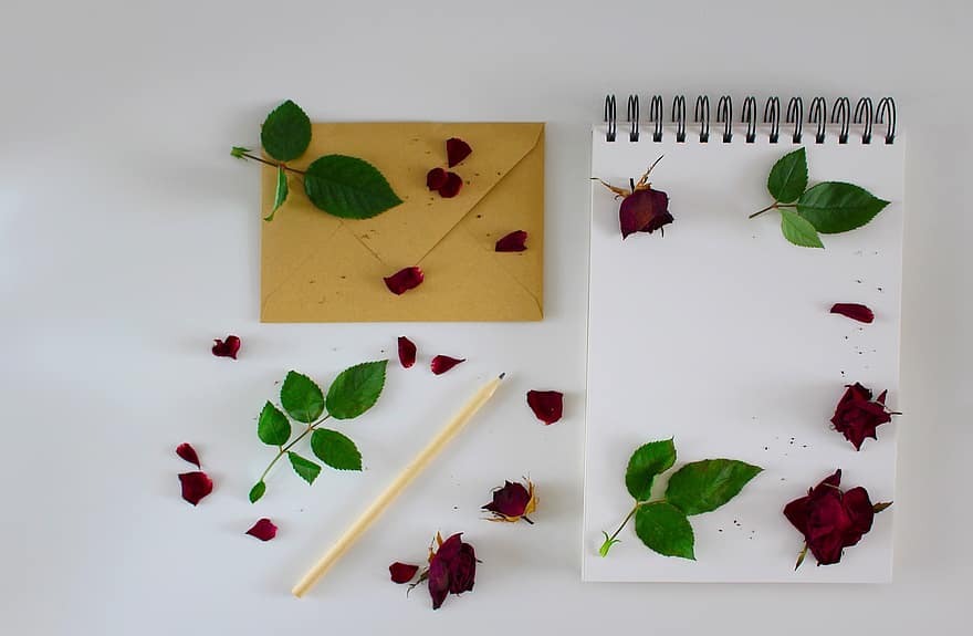 bloc, rosas, carta, bolígrafo, rosas rojas, sobre, carta de amor, Nota, cuaderno, diario, escribir