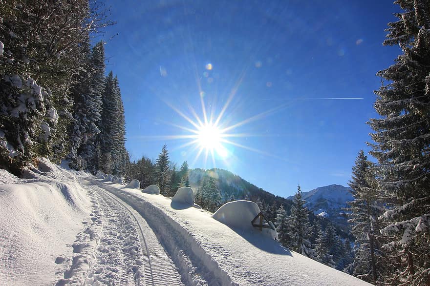 Allgäu, vinter, Skov, østrig, bjerg, sne, landskab, blå, sæson, træ, frost