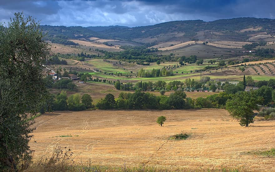 fält, kullar, Italien, landsbygden, lantlig, åkermark, landskap, olivträd, höst