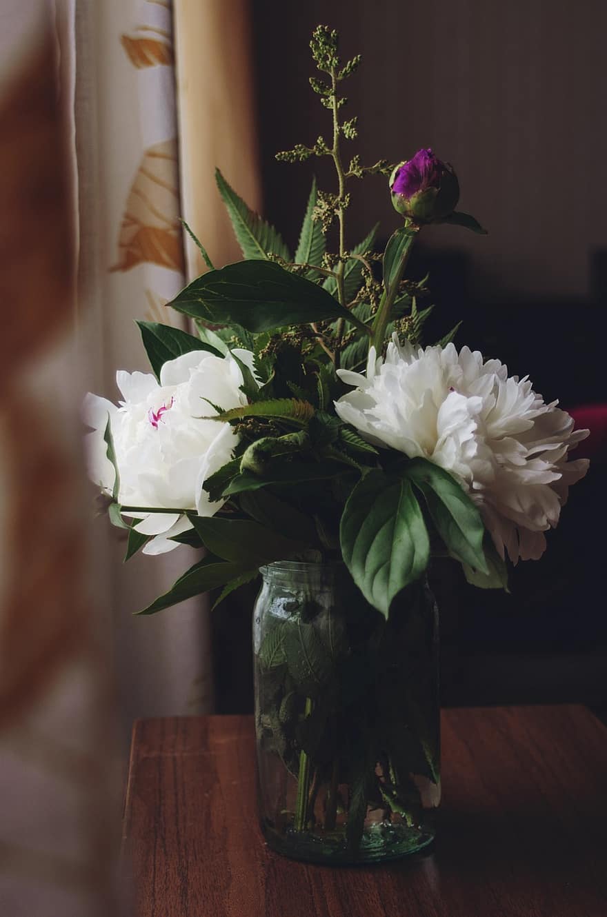 دقيق ، زهور ، باقة من الزهور ، الفاوانيا