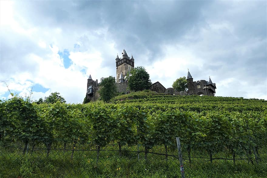zamek, Mozela, góry, Cochem, Niemcy, historia, architektura, stary, scena wiejska, winnica, znane miejsce