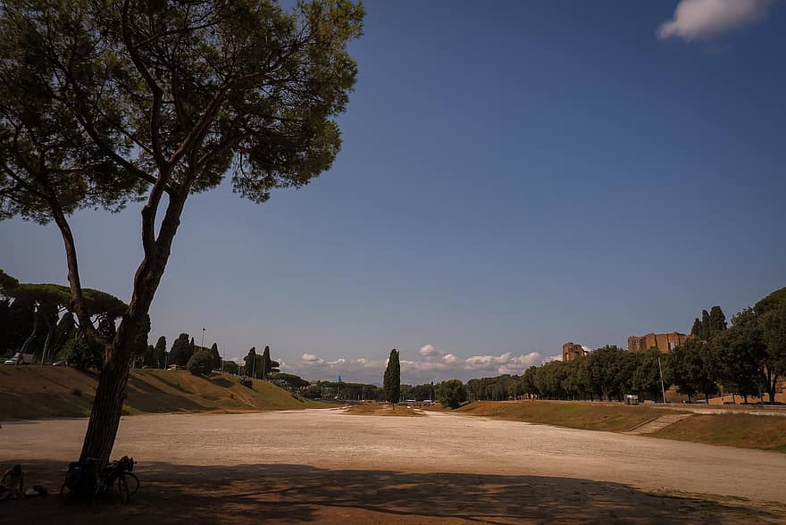 Circus Maximus, Rome, Italy, tree, summer, landscape, rural scene, blue, grass, forest, sunset