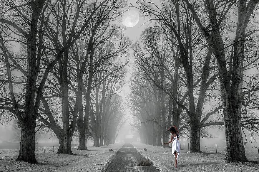la carretera, arboles, niña, niebla, Tortuga, fantasía, misterioso, mujer, Luna, brumoso, camino