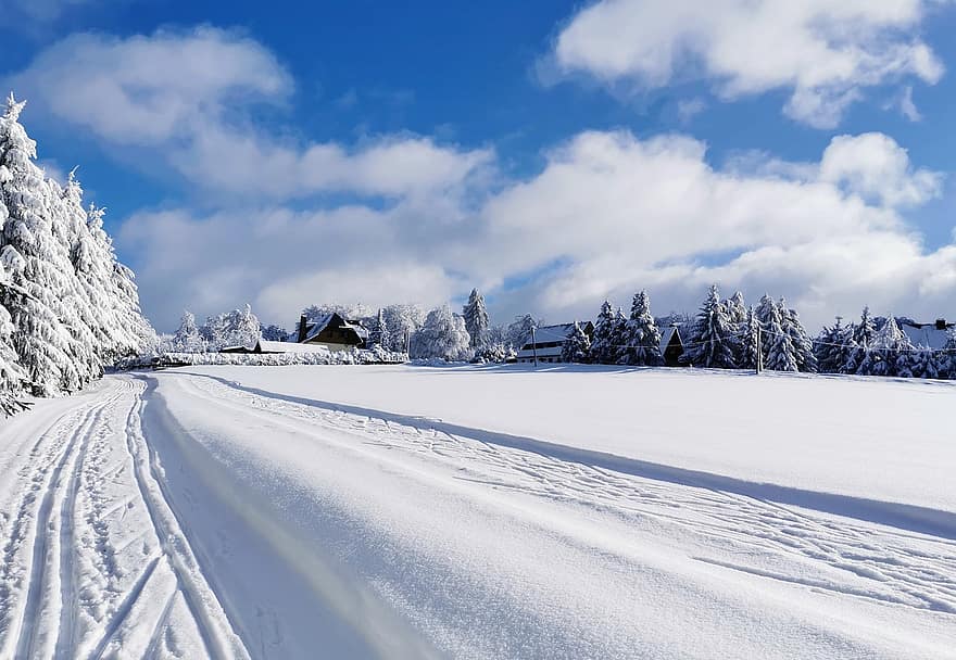 musim dingin, alam, musim, salju, di luar rumah, main ski, gunung bijih, hutan, pemandangan, gunung, biru