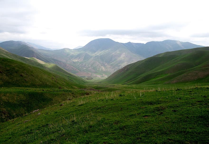 キルギスタン、山岳、自然、森林、風景、緑の党、ダール、山、夏、草、緑色