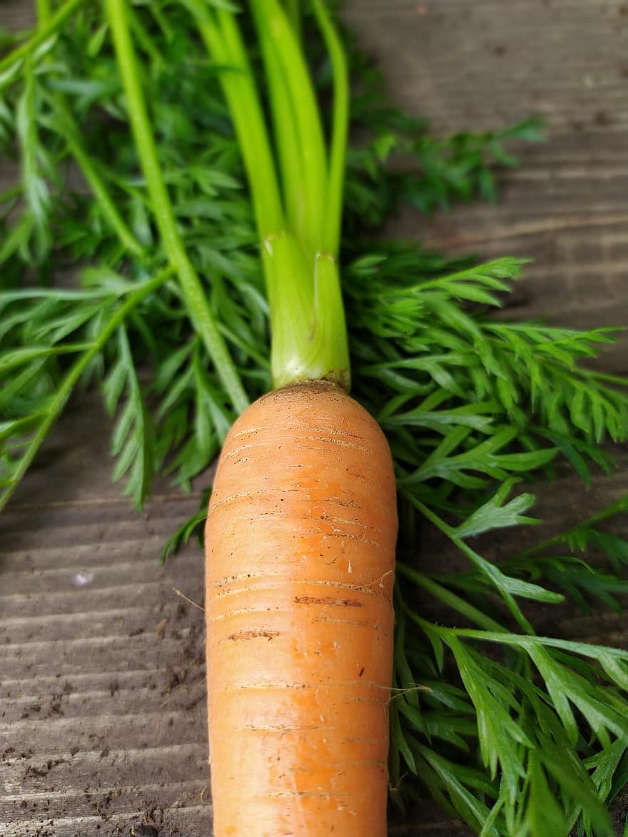 cenoura, vegetal, colheita, produzir, vegetais de raiz, Comida, orgânico, natural, comestível, sai