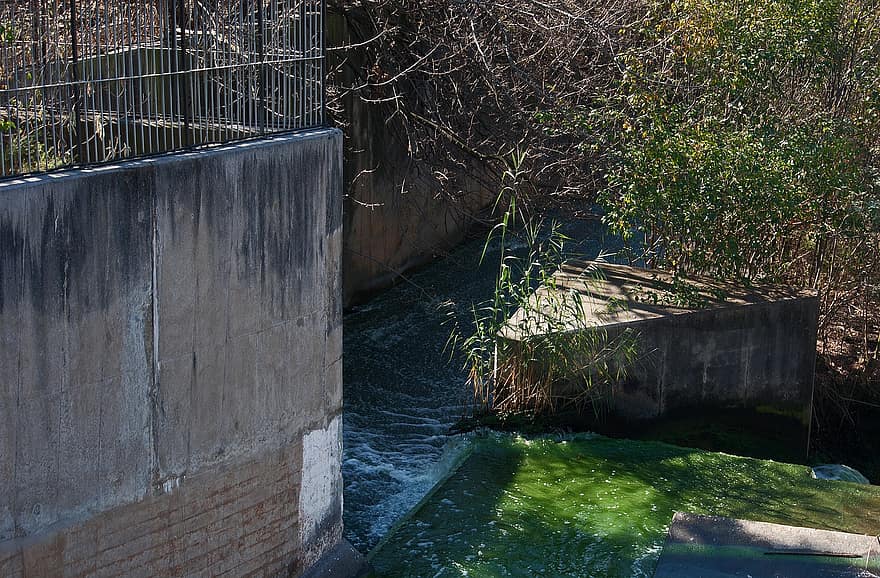 Canal de disipare a energiei, barajul peretelui, beton, curgere, graba, vegetație
