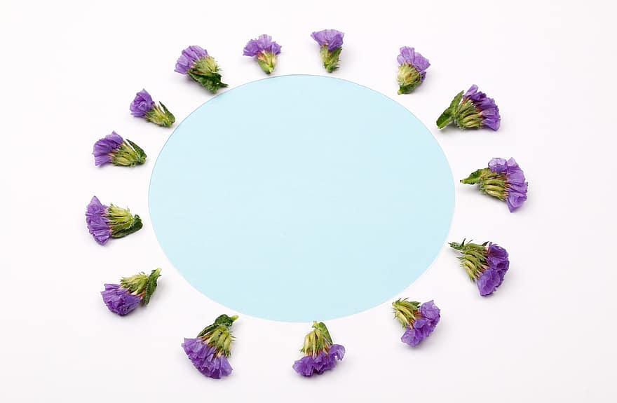 bunga-bunga, Latar Belakang, bingkai, bunga ungu, lavender laut, Statice, kelopak, berkembang, dekorasi, pengaturan, maket