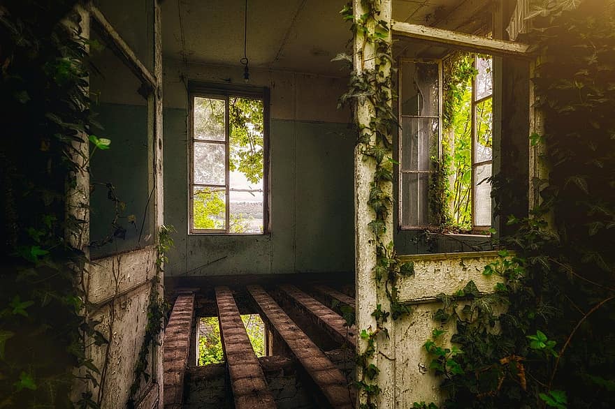 Budka ogrodowa, opuszczony dom, bluszcz, okno, stary, opuszczony, wewnątrz, architektura, zrujnowany, brudny, uszkodzony