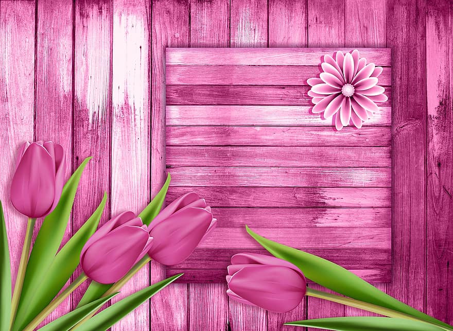 Holz, Farbe, Tulpen, Tulpe, Hintergrund, Blumen, Blume, Blütenblätter, Textur, Design, Grund