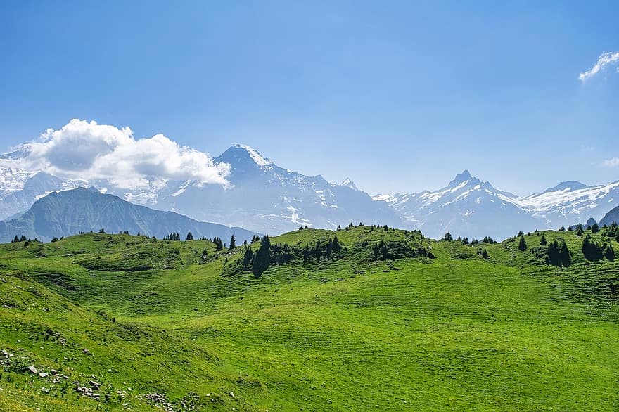 Svizzera, Alpi, montagna, paesaggio, prato, nuvole, erba, colore verde, estate, scena rurale, picco di montagna