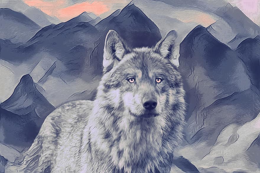 Tier, Wolf, Säugetier, einsamer Wolf, Tierwelt, Spezies, Fauna, Zeichnung, Schnee, Berg, Hund