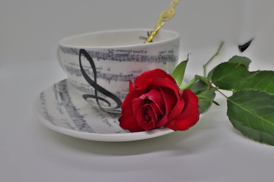чашка, пити, троянда, ключ, впритул, романтика, свіжість, кохання, квітка, фони, лист