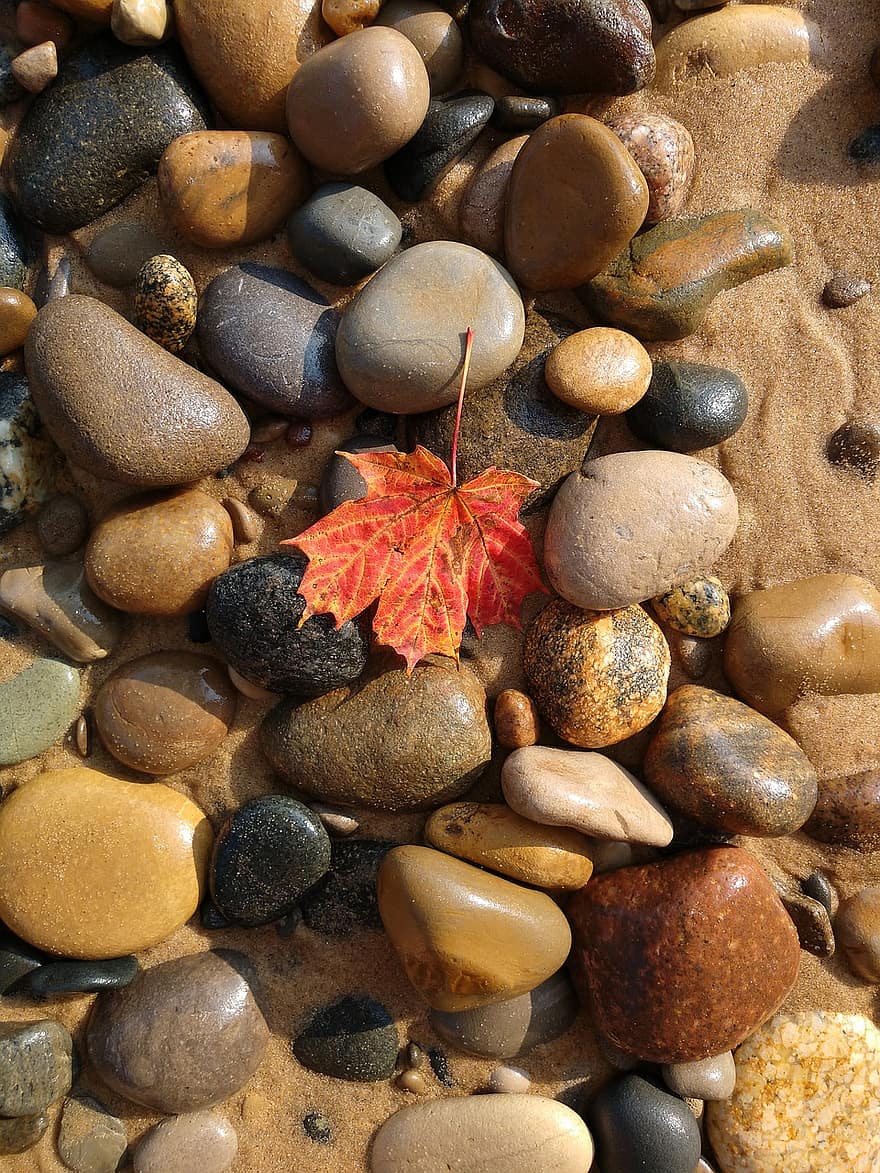 кленов лист, скали, камъчета, плаж
