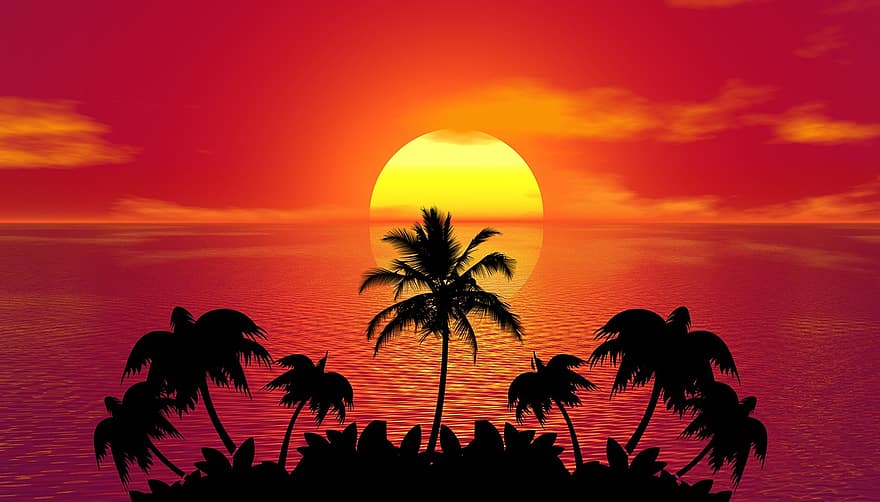 solnedgång, Palmer, silhuetter, tropisk ö, träd silhuetter, Sol, skymning, hav, horisont, marinmålning, tropisk