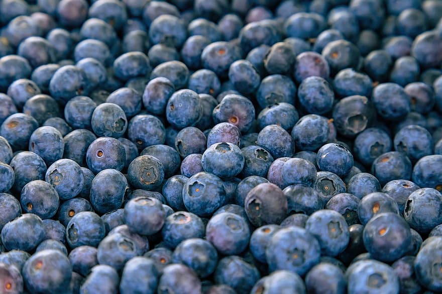 ब्लू बैरीज़, फल, झुंड, जामुन का गुच्छा, ब्लूबेरी का गुच्छा, जामुन, ताज़ा, परिपक्व, ताजा ब्लूबेरी, पके ब्लूबेरी, उत्पादित करें