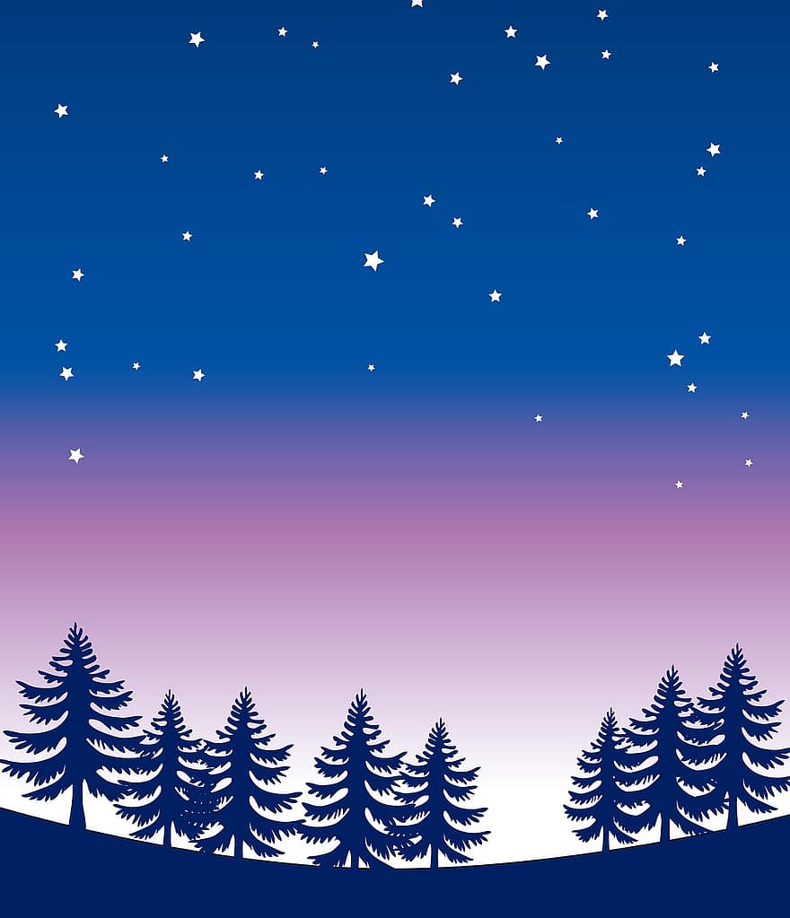 nakts debesis, priedes, zvaigznes, raksturs, ainavu, naktī, debesis, dabiski, parks, koki, zils