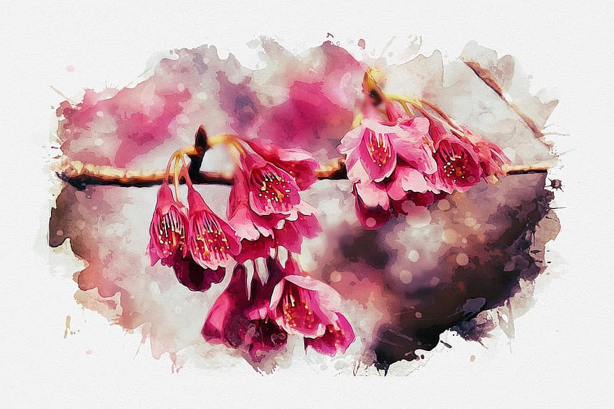 Kirschblüte, Sakura, Blumen, Blütenblätter, Ast, Japan, Pflanze, Baum, Natur, Fotokunst, rot
