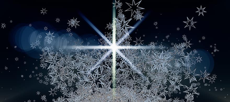 hari Natal, bintang, kedatangan, Latar Belakang, keemasan, terang, dekorasi, dekorasi Natal, poinsettia
