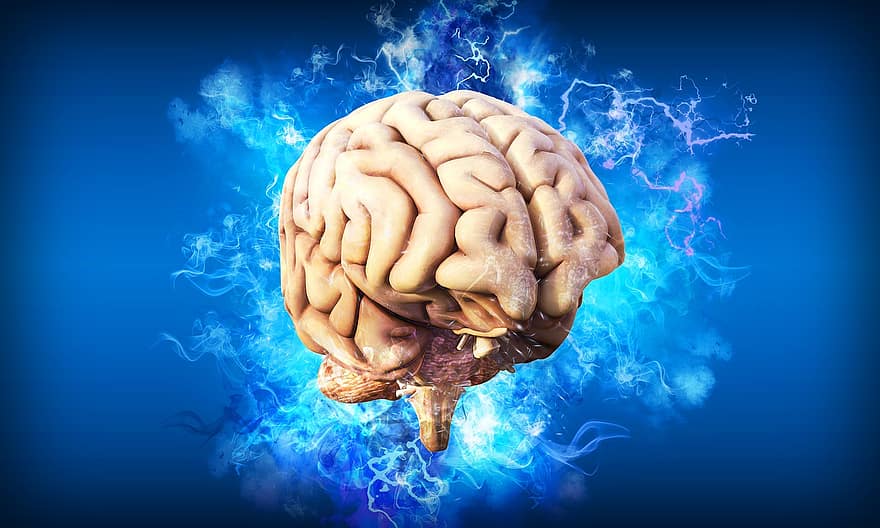 cérebro, pensamento, mente, idéia, psicologia, pensar, pensamentos, conhecimento, pensando, crânio, chuva de ideias
