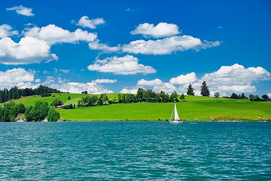 See, Bäume, Landschaft, Segelboot, sonniger Tag, Sommer-, grüne Farbe, ländliche Szene, Blau, Wasser, Gras