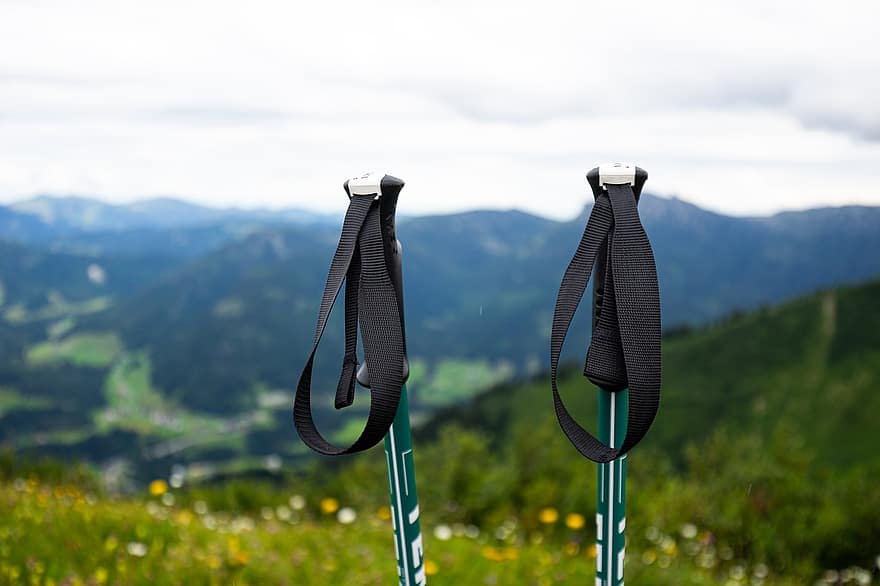 tiang pendakian, kenaikan, padang rumput, tongkat berjalan, trekking, gunung, pegunungan Alpen, alam
