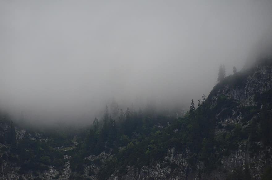 Ramsau, alpin, la bavière, les montagnes, brouillard, arbre, sapins, paysage