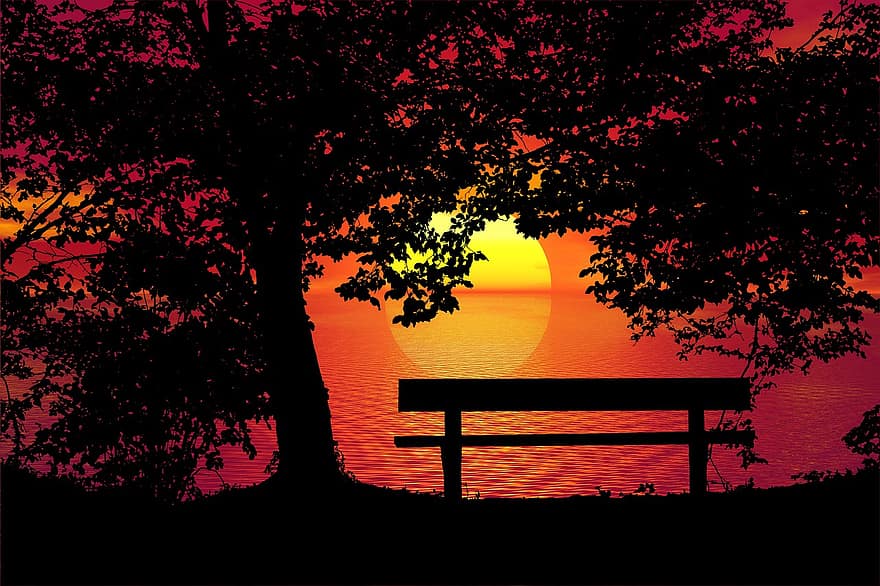 matahari terbenam, bangku, pohon, pemandangan, kesendirian, alam, malam, Matahari Terbenam Hitam