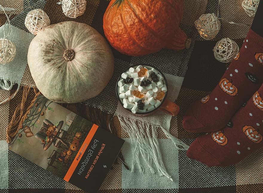 かぼちゃ、本、格子縞、心地よさ、読む、秋