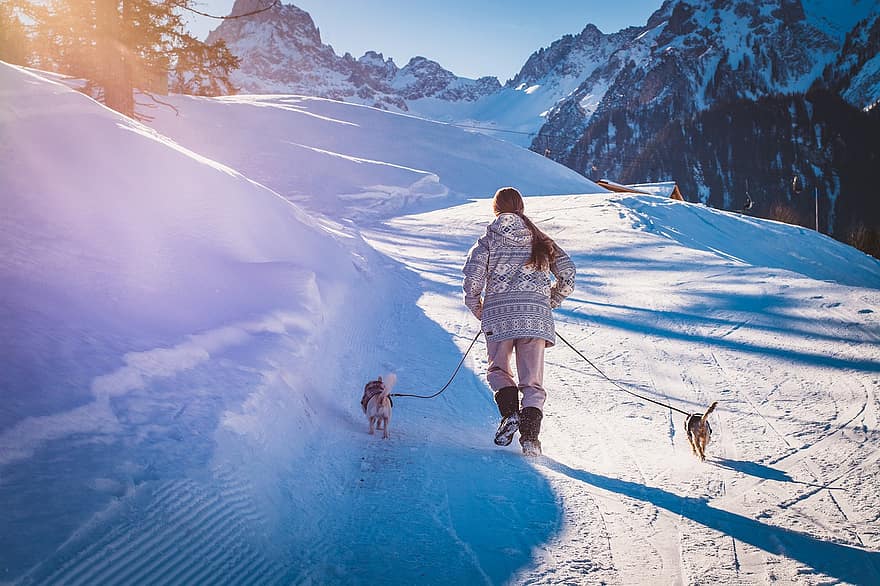 psy, ścieżka, śnieg, Przejść się, człowiek, osoba, pies, zimowy, zwierzęta domowe, Góra, sport