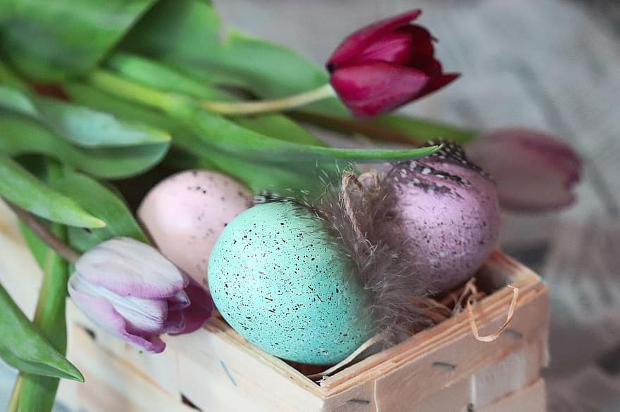 Великдень, писанки, яйця, великодня колекція, тюльпани, квітка, колір, їжа, милий, прикраса, декоративні