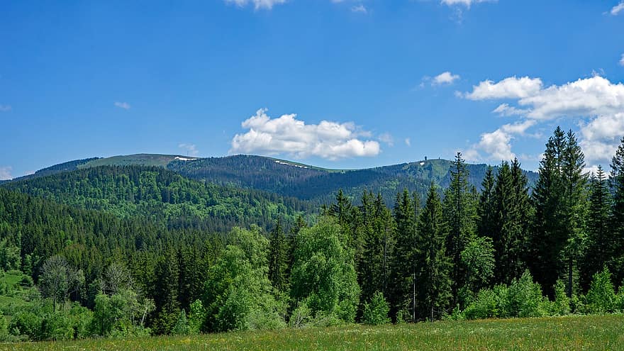 Black Forest, Forest, Mountains, Trees, Woods, Landscape, Nature, Scenery