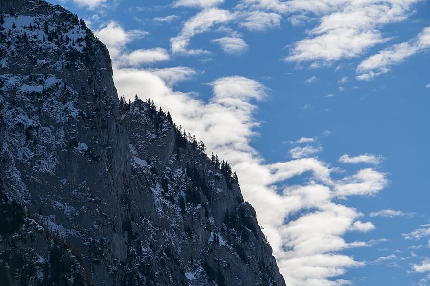 berg, summit, vinter-, snö, träd, topp, alperna, natur, landskap, Brunni, kanton av schwyz