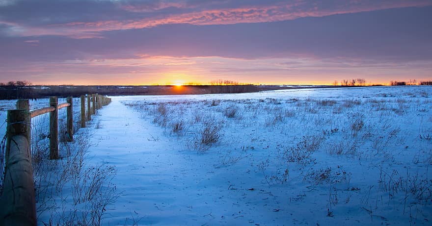 solnedgång, prärie, vinter-, snö, landskap, kväll, natt, gräsmark, säsong, landsbygden scen, frost