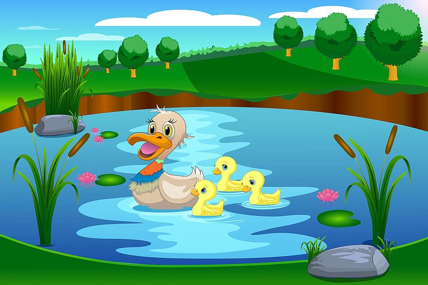 bebek, kolam, anak itik, gambar, kartun, burung-burung, alam, paruh, bulu burung, binatang