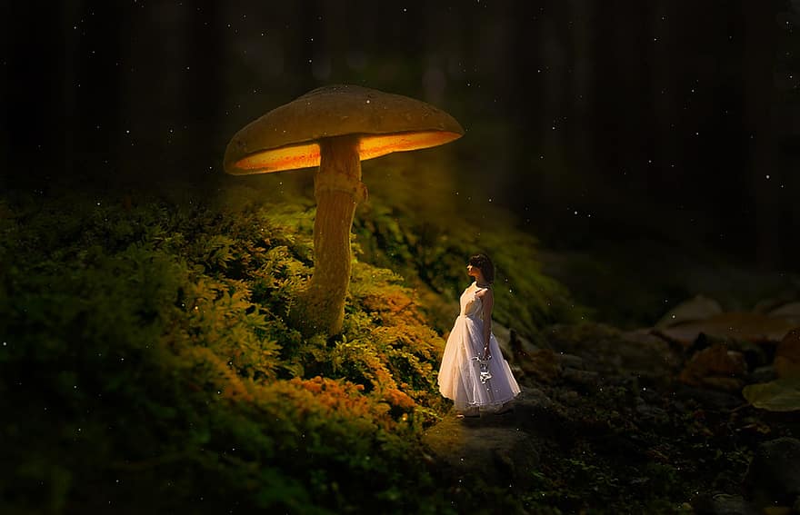 fantasia, tyttö, sieni, valaistu, valo, yö-, metsä, maaginen, mystinen, satu