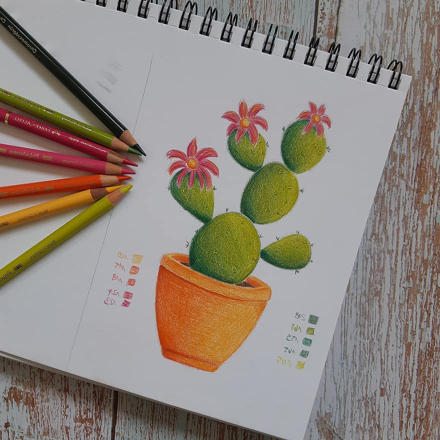 cactus, succulente, pianta del deserto, botanica, foglia, formazione scolastica, matita, legna, tavolo, carta, creatività