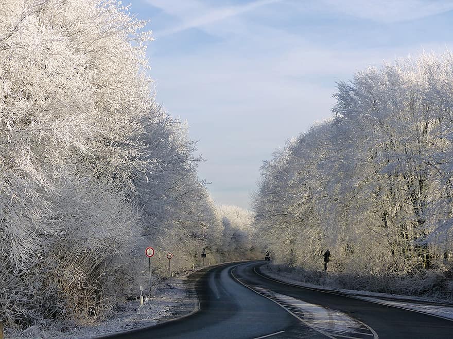 silnice, zimní, sezóna, výlet, venku, stromy, cesta, asfalt, sníh, les, strom