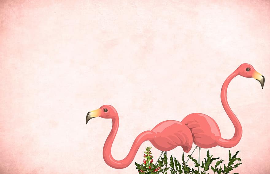flamingo, fågel, bakgrund, trädgårdsram, årgång, kort, konst, bröllop, design, handgjort, kärlek