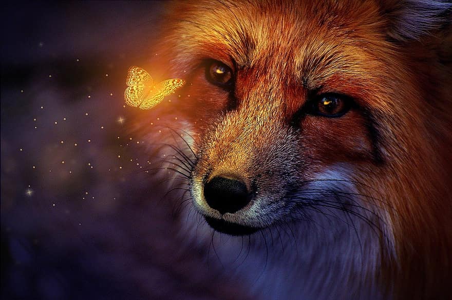 狐、バタフライ、魔法の、神秘的な、動物、哺乳類、野生動物、昆虫、動物相、荒野