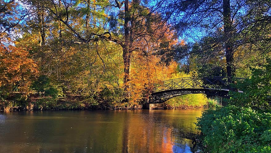 Autumn, Bridge, Nature, Travel, Exploration, Season, Fall