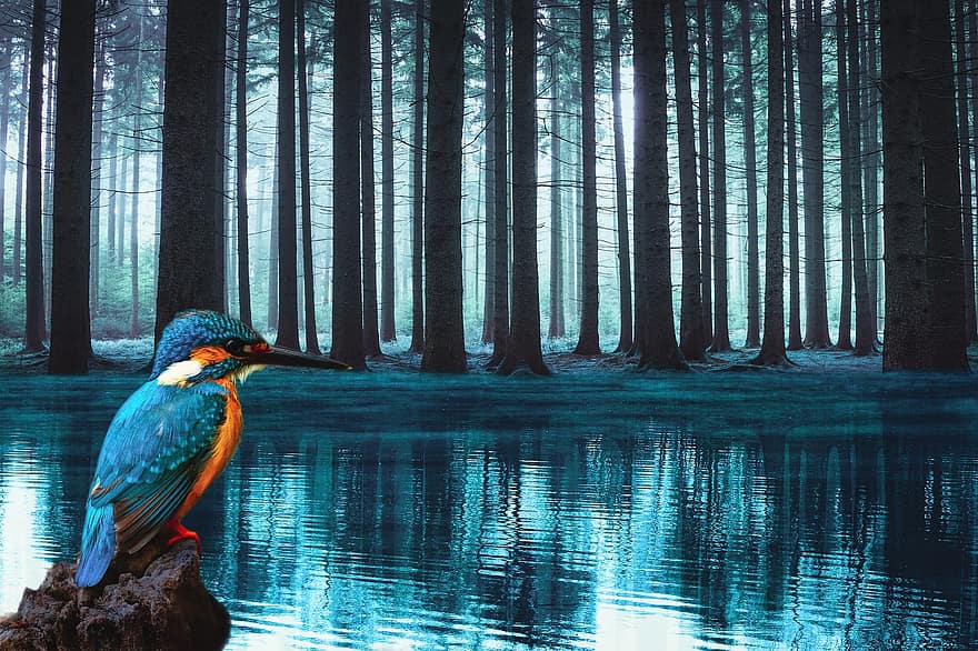 Bird, Trees, Forest, Night, Lake, Reflection, Fantasy, Mysterious, tree, water, animals in the wild