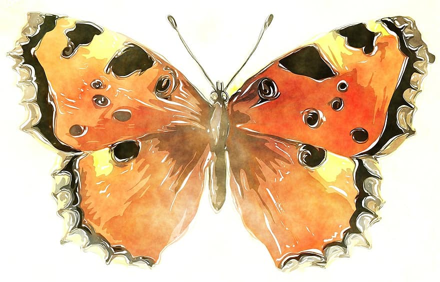 Watercolour, Watercolor, Painting, Ink, Blend, Isolated, Animal, Nature, Wild, Wildlife, Wings