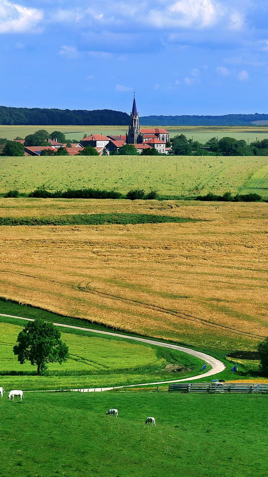 ciemats, laukos, ainavu, lauku, raksturs, skatuvisks, lauksaimniecību, Francija, vasarā