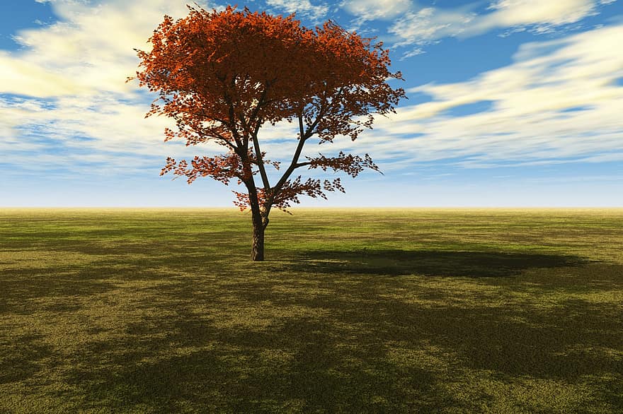 Maple, Maple Leaf, Red Maple, Landscape, Meadow, Field, Beautiful, Tranquil, Calmness, Sky, Clouds