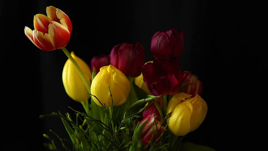 Tulips, Flowers, Bouquet, Pile, Bunch Of Tulips, Tulip Bouquet, Flora, Nature, Close Up, Black Background, Spring