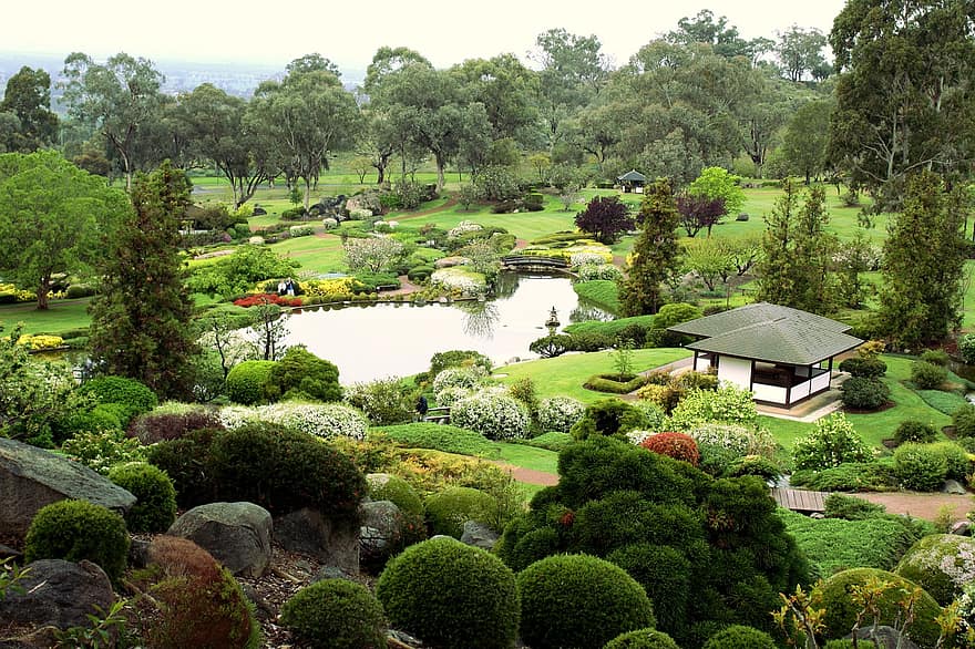 tuin-, natuur, botanisch, buitenshuis, groene kleur, landschap, zomer, gras, boom, fabriek, water