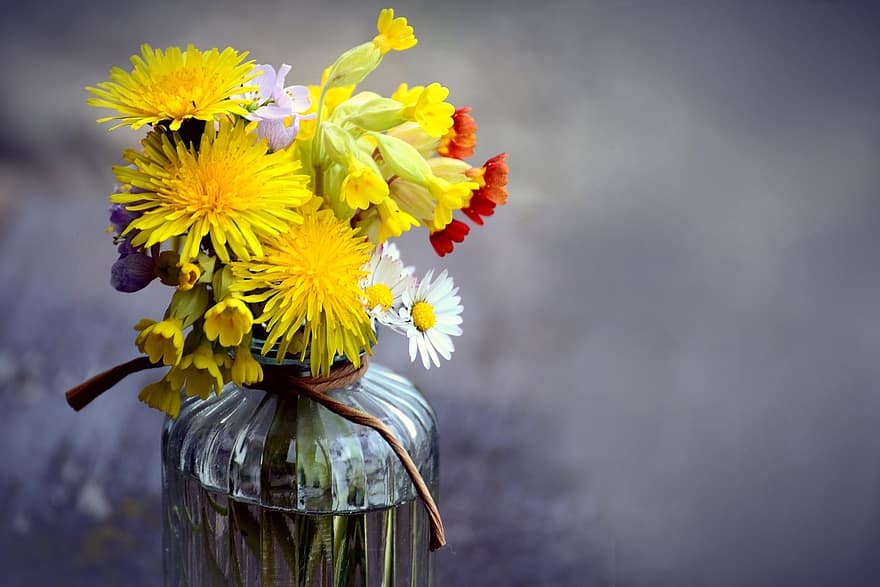 bouquet, vase à fleurs, pissenlits, Cowslips, nature morte, printemps, Floraison, fleur, fleurs fraîches